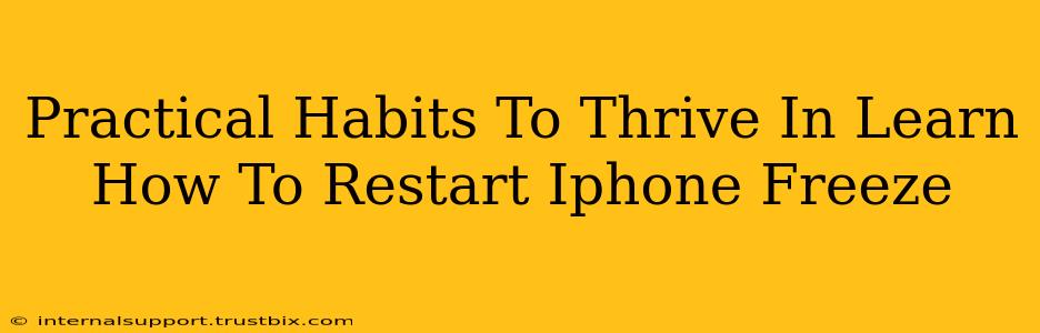 Practical Habits To Thrive In Learn How To Restart Iphone Freeze