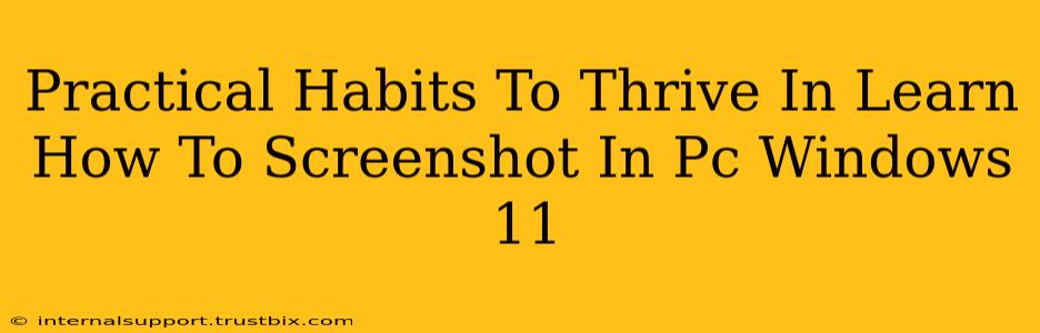 Practical Habits To Thrive In Learn How To Screenshot In Pc Windows 11