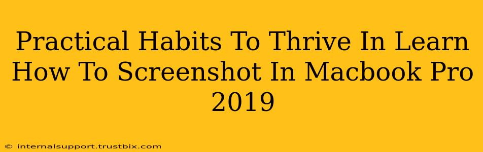 Practical Habits To Thrive In Learn How To Screenshot In Macbook Pro 2019