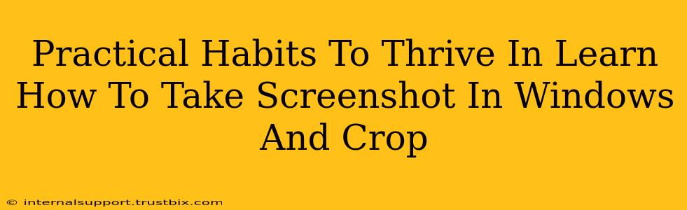 Practical Habits To Thrive In Learn How To Take Screenshot In Windows And Crop