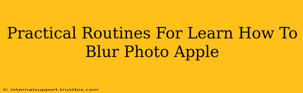 Practical Routines For Learn How To Blur Photo Apple