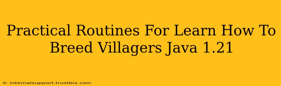 Practical Routines For Learn How To Breed Villagers Java 1.21