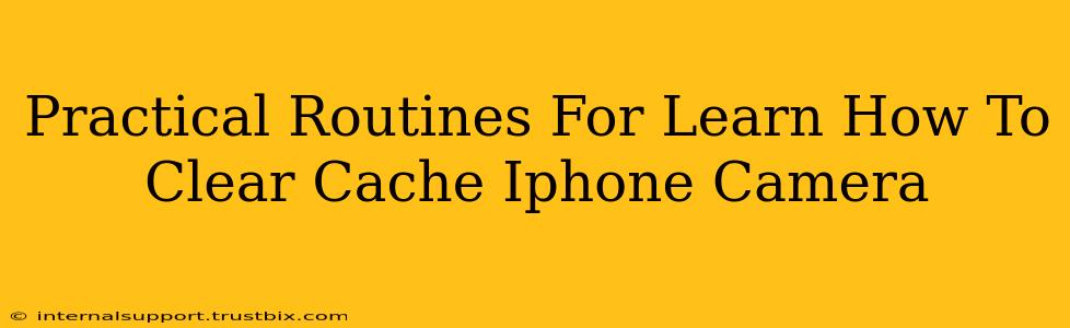 Practical Routines For Learn How To Clear Cache Iphone Camera