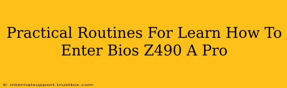 Practical Routines For Learn How To Enter Bios Z490 A Pro