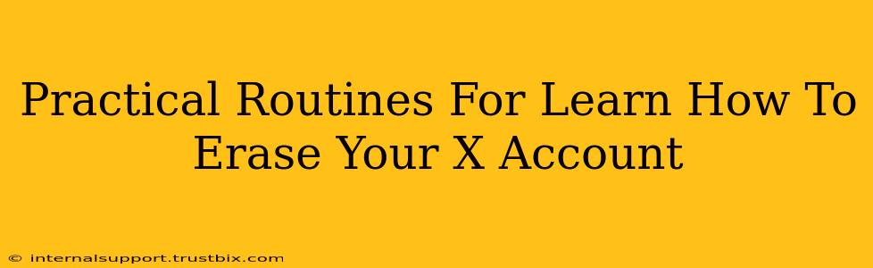 Practical Routines For Learn How To Erase Your X Account