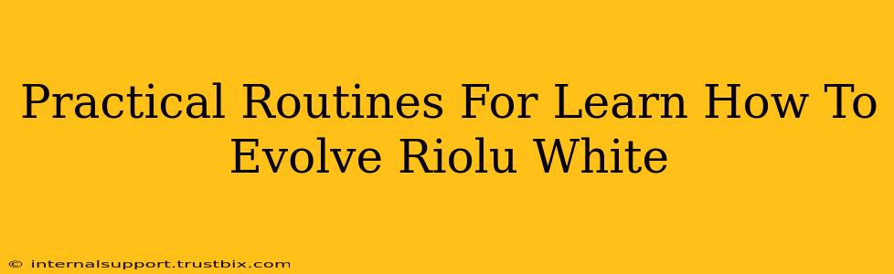 Practical Routines For Learn How To Evolve Riolu White