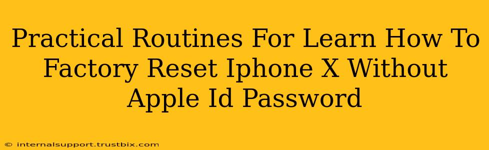 Practical Routines For Learn How To Factory Reset Iphone X Without Apple Id Password