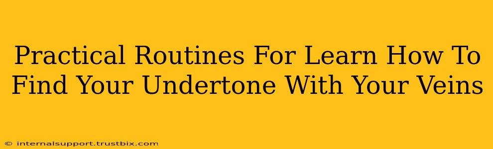 Practical Routines For Learn How To Find Your Undertone With Your Veins