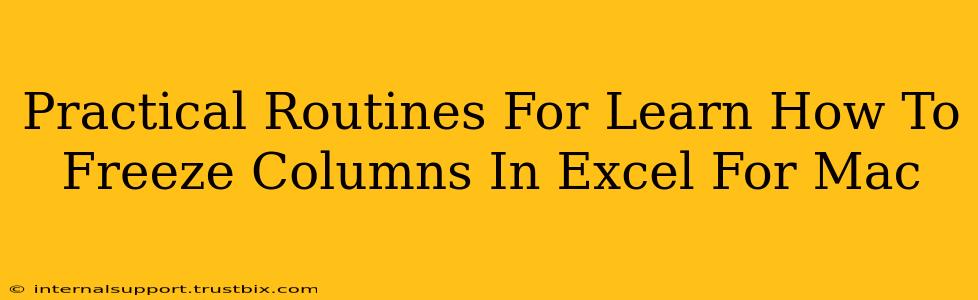 Practical Routines For Learn How To Freeze Columns In Excel For Mac