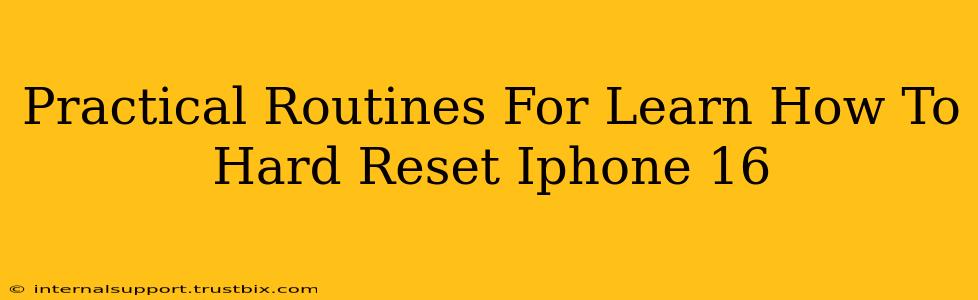 Practical Routines For Learn How To Hard Reset Iphone 16