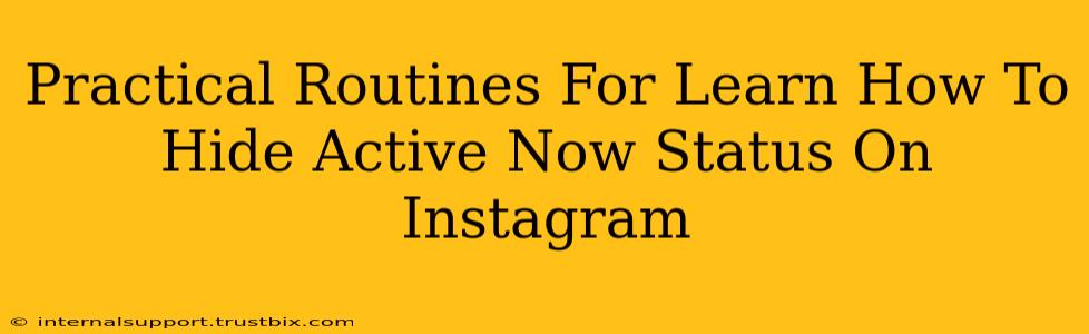 Practical Routines For Learn How To Hide Active Now Status On Instagram