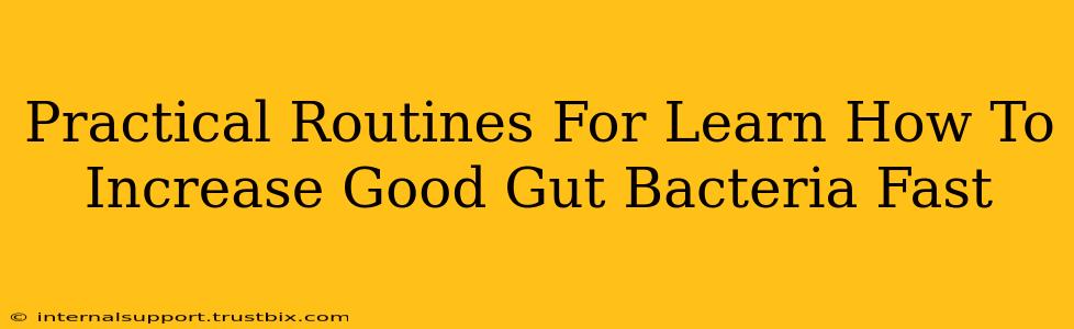 Practical Routines For Learn How To Increase Good Gut Bacteria Fast