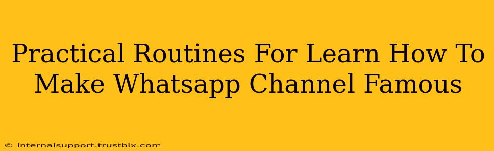 Practical Routines For Learn How To Make Whatsapp Channel Famous