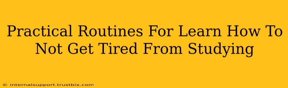 Practical Routines For Learn How To Not Get Tired From Studying