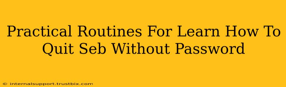 Practical Routines For Learn How To Quit Seb Without Password