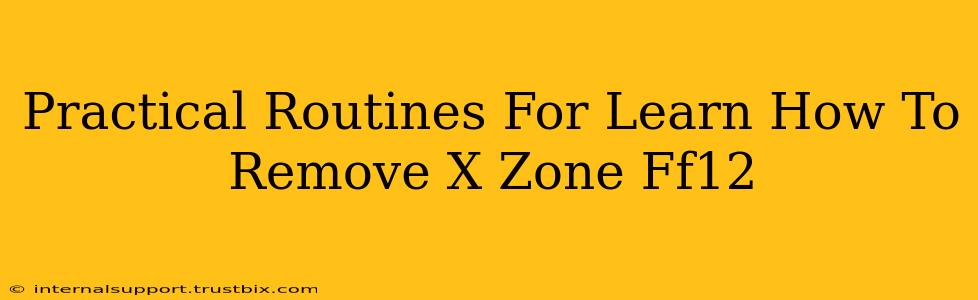 Practical Routines For Learn How To Remove X Zone Ff12