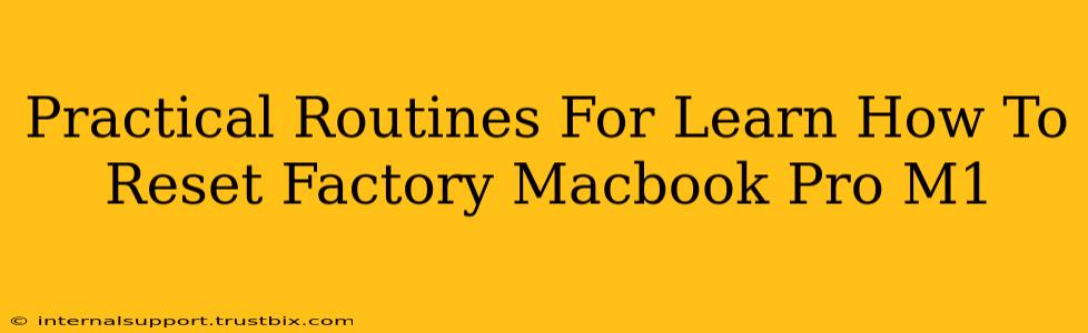 Practical Routines For Learn How To Reset Factory Macbook Pro M1