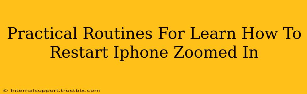 Practical Routines For Learn How To Restart Iphone Zoomed In