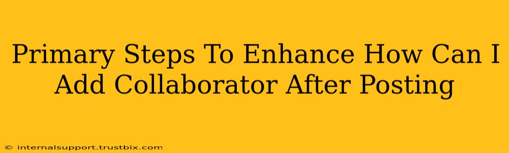 Primary Steps To Enhance How Can I Add Collaborator After Posting