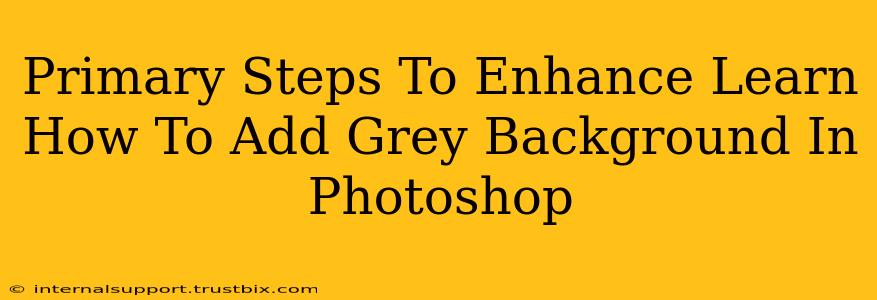 Primary Steps To Enhance Learn How To Add Grey Background In Photoshop