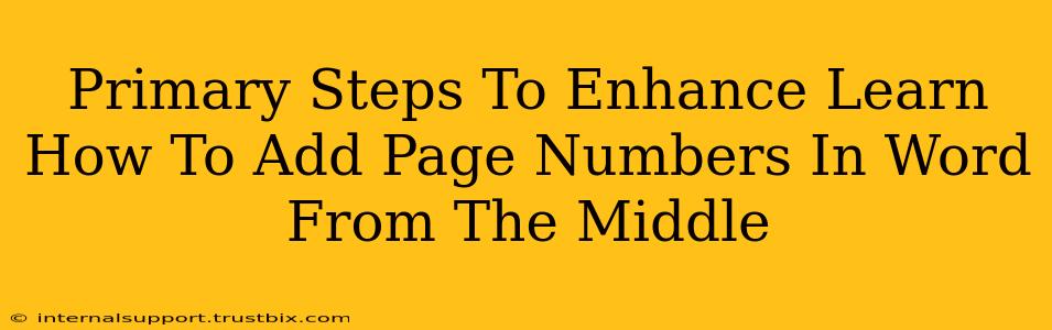 Primary Steps To Enhance Learn How To Add Page Numbers In Word From The Middle