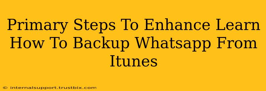 Primary Steps To Enhance Learn How To Backup Whatsapp From Itunes