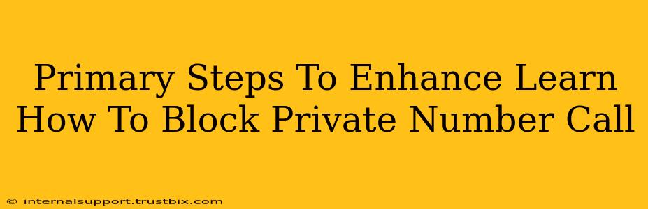 Primary Steps To Enhance Learn How To Block Private Number Call