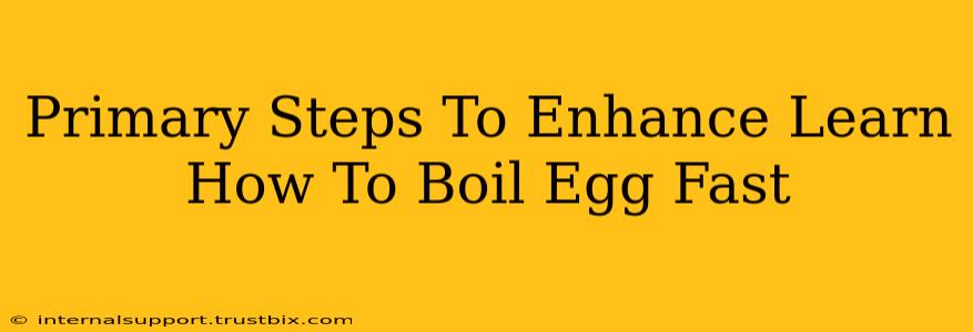 Primary Steps To Enhance Learn How To Boil Egg Fast