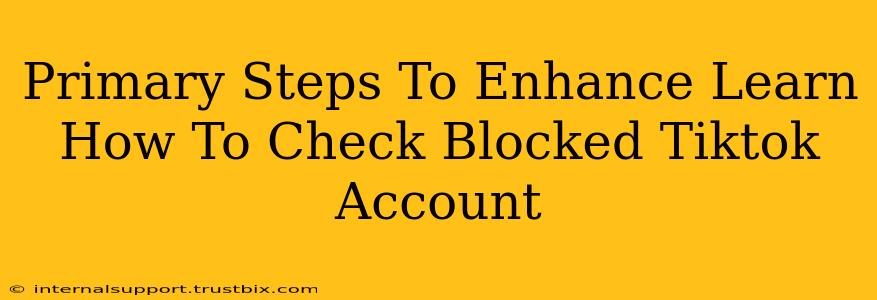 Primary Steps To Enhance Learn How To Check Blocked Tiktok Account