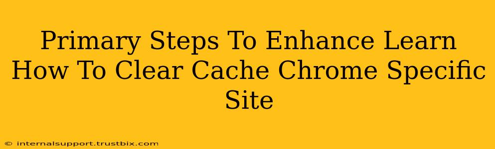 Primary Steps To Enhance Learn How To Clear Cache Chrome Specific Site