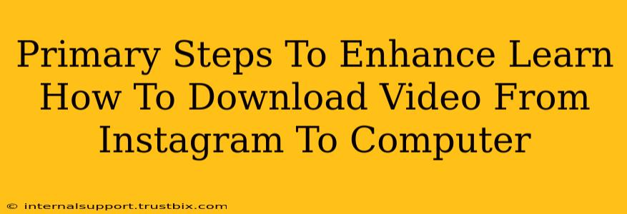 Primary Steps To Enhance Learn How To Download Video From Instagram To Computer