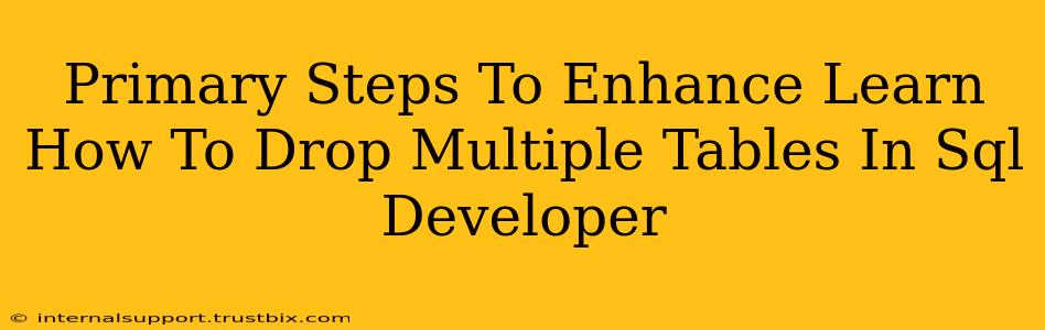 Primary Steps To Enhance Learn How To Drop Multiple Tables In Sql Developer