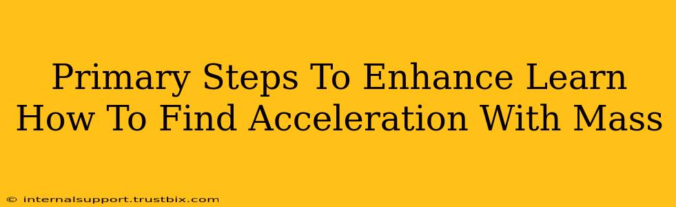 Primary Steps To Enhance Learn How To Find Acceleration With Mass