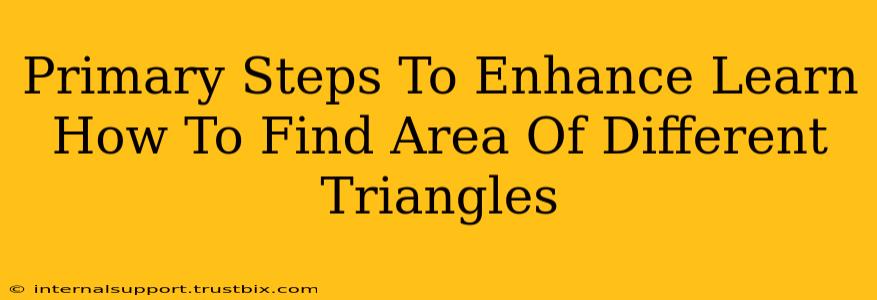 Primary Steps To Enhance Learn How To Find Area Of Different Triangles