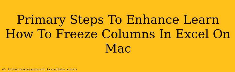 Primary Steps To Enhance Learn How To Freeze Columns In Excel On Mac