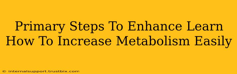 Primary Steps To Enhance Learn How To Increase Metabolism Easily