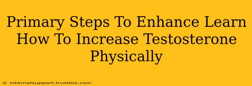 Primary Steps To Enhance Learn How To Increase Testosterone Physically