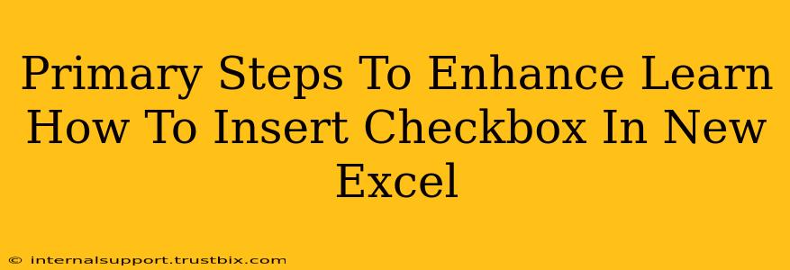 Primary Steps To Enhance Learn How To Insert Checkbox In New Excel