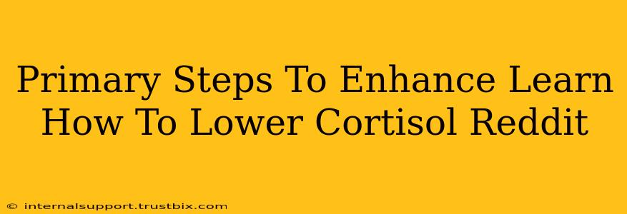 Primary Steps To Enhance Learn How To Lower Cortisol Reddit