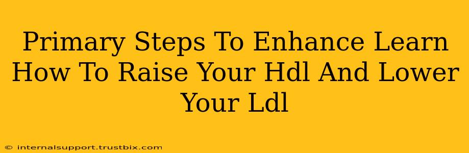 Primary Steps To Enhance Learn How To Raise Your Hdl And Lower Your Ldl