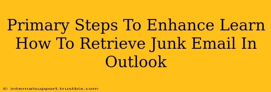 Primary Steps To Enhance Learn How To Retrieve Junk Email In Outlook