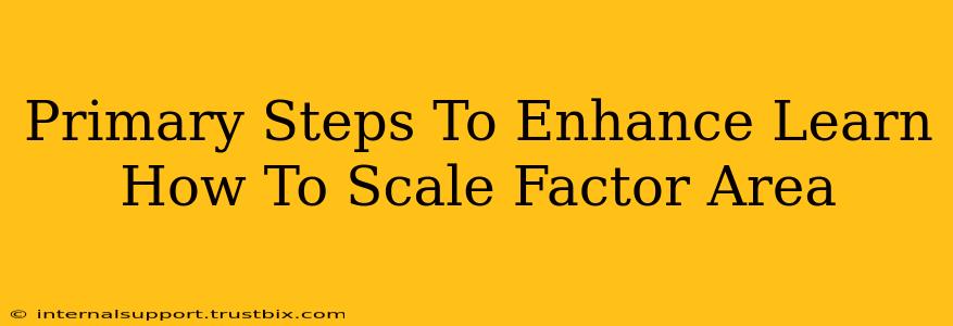 Primary Steps To Enhance Learn How To Scale Factor Area