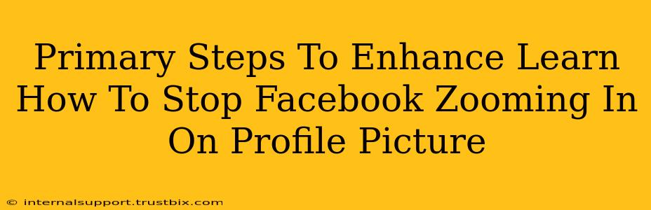 Primary Steps To Enhance Learn How To Stop Facebook Zooming In On Profile Picture