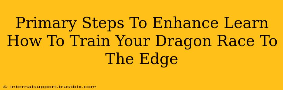 Primary Steps To Enhance Learn How To Train Your Dragon Race To The Edge