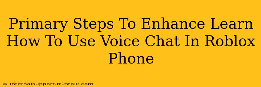 Primary Steps To Enhance Learn How To Use Voice Chat In Roblox Phone