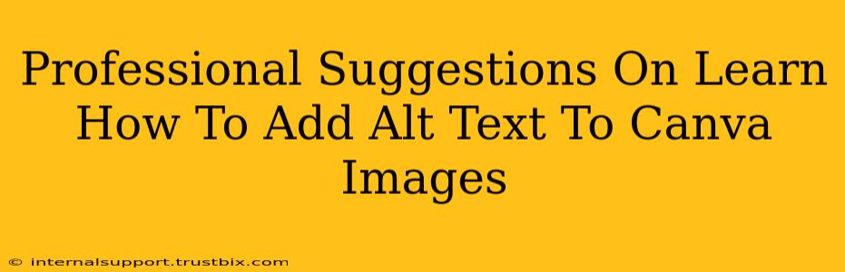 Professional Suggestions On Learn How To Add Alt Text To Canva Images