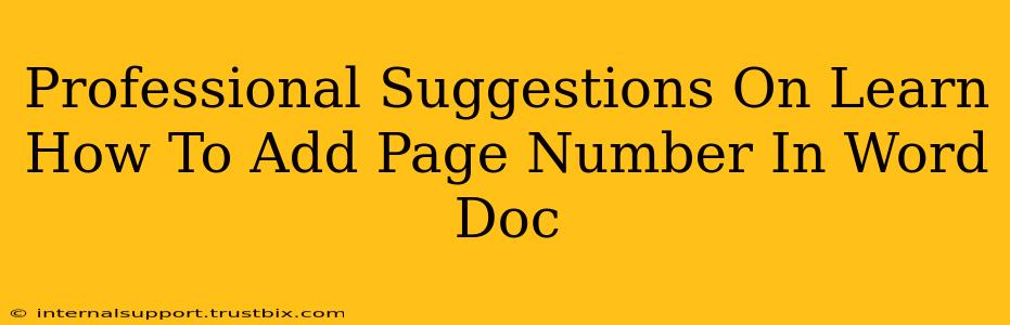 Professional Suggestions On Learn How To Add Page Number In Word Doc