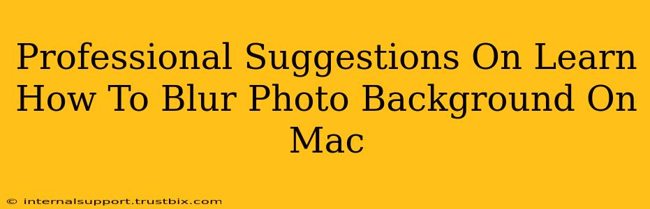 Professional Suggestions On Learn How To Blur Photo Background On Mac