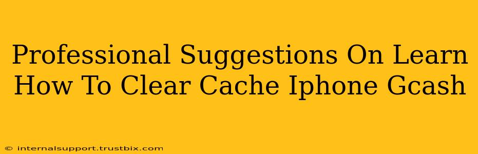 Professional Suggestions On Learn How To Clear Cache Iphone Gcash