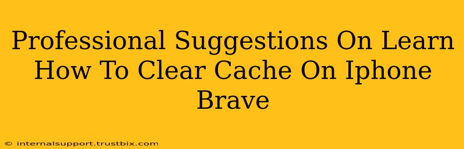 Professional Suggestions On Learn How To Clear Cache On Iphone Brave